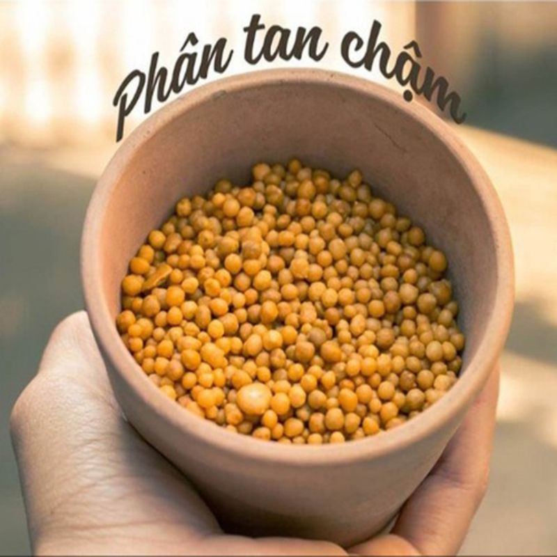 50GR PHÂN TAN CHẬM OSMOCOTE