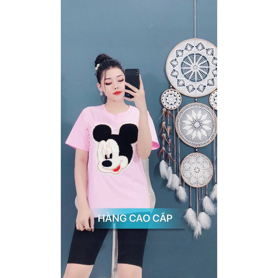 SÉT BỘ THỜI TRANG CAO CẤP ĐẦU CHUỘT LÔNG-SB82