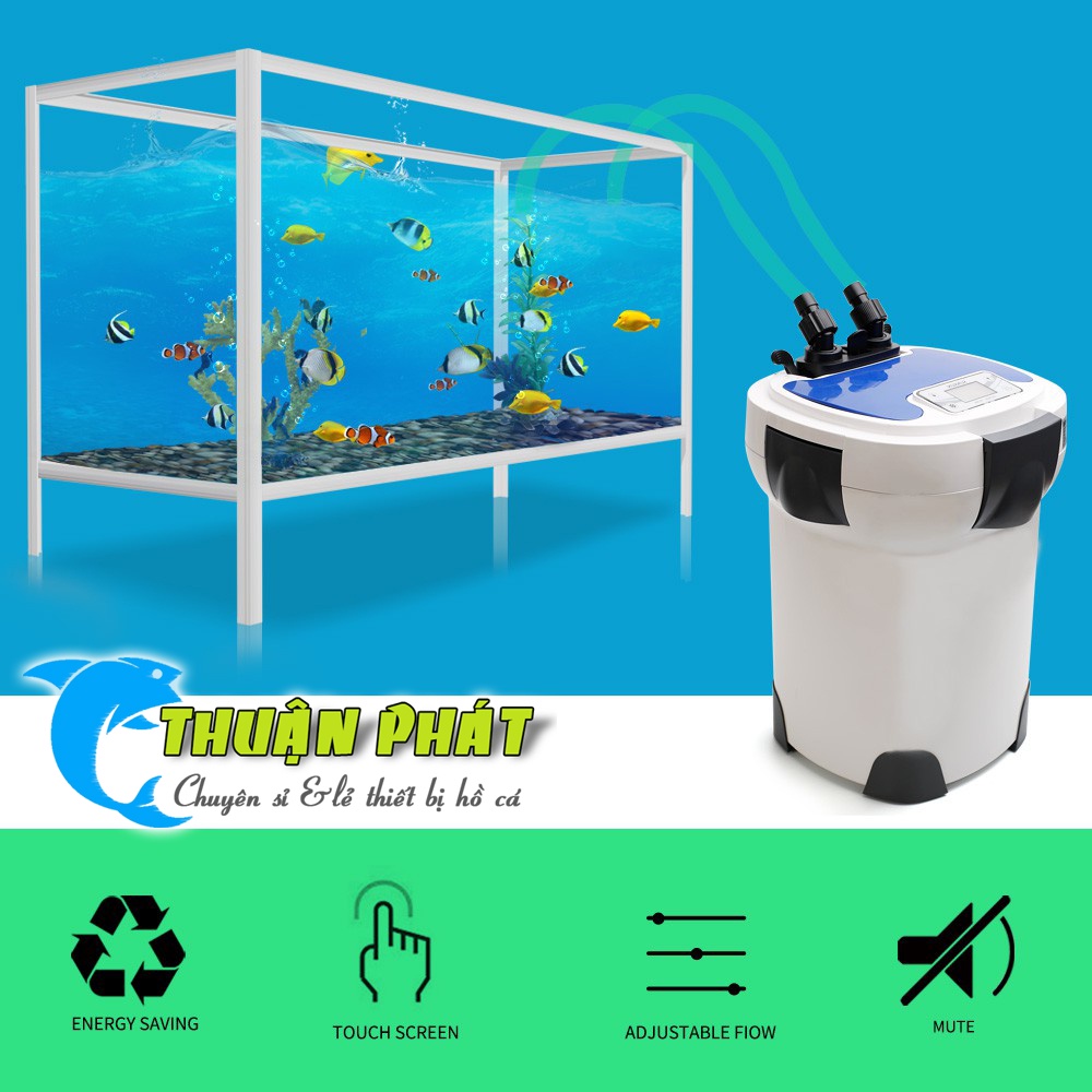 Hồ Đúc Cong Cạnh - Kính Trong Cực Đẹp- Hồ Cá Thủy Sinh