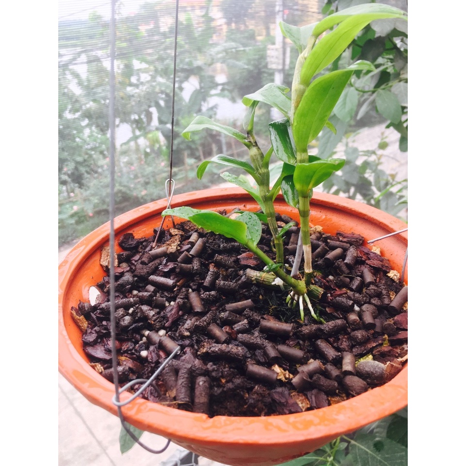 Phân trùn quế  hữu cơ sinh học dạng viên 800gr