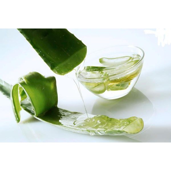 1KG Chiết xuất nha đam (Aloe Vera Extract)