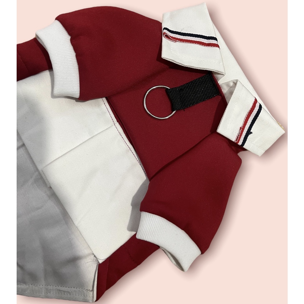 Áo sơ mi sành điệu cho chó mèo/ Áo có cổ cho thú cưng