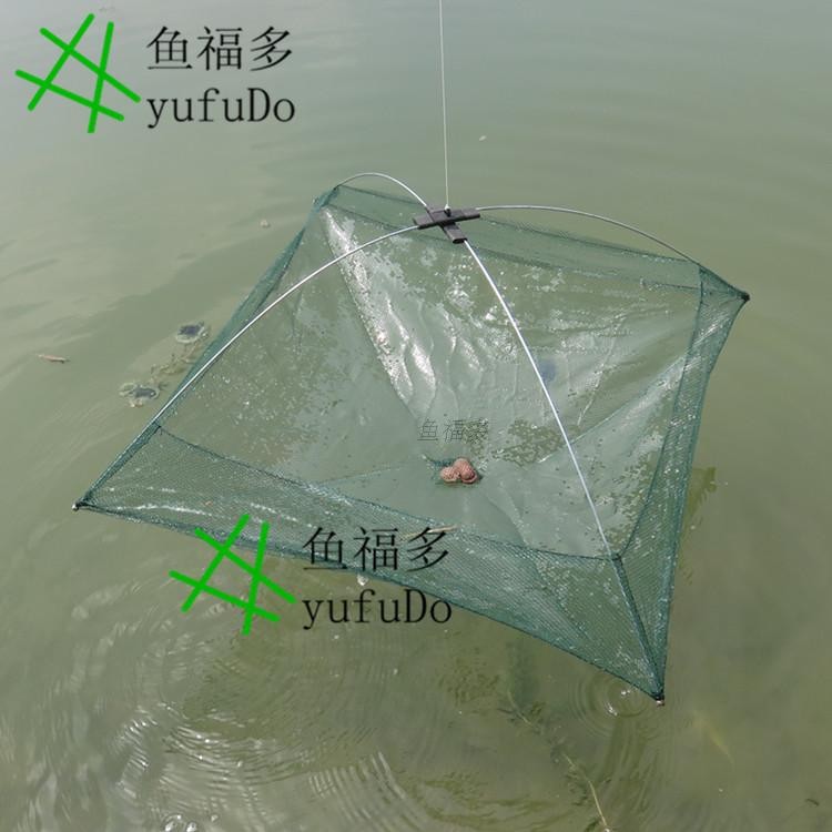 VÓ TÔM - Bắt TÔM - TÉP