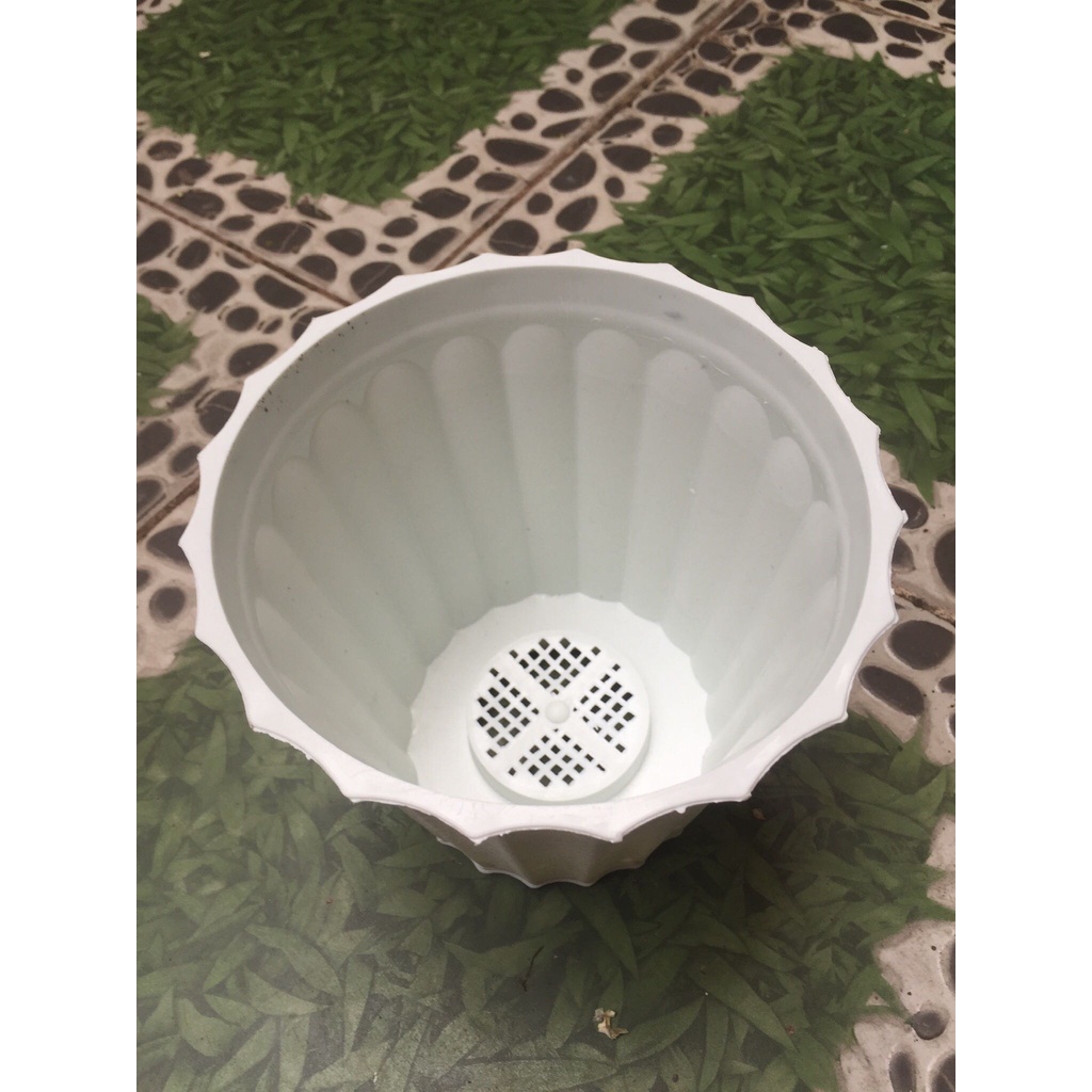 Chậu tròn khía để bàn giá rẻ nhiều size