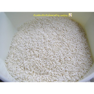 NẾP THÁI ( Loại I ) 1KG