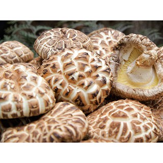 Nấm đông cô khô 1kg