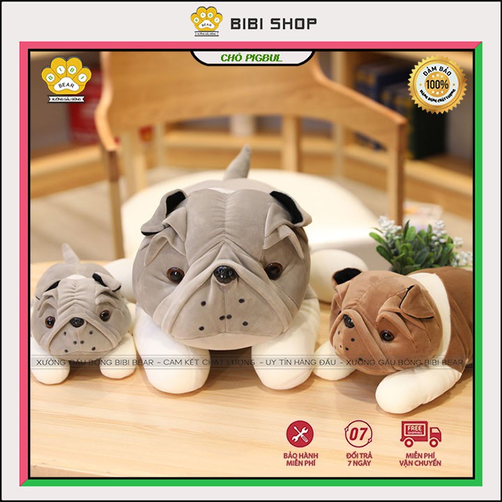 Gấu bông chó PIGBUL mặt xệ đáng yêu