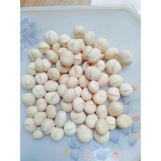 Hạt Macca sấy loại 1
