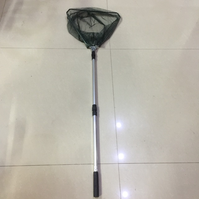 Vợt vớt cá