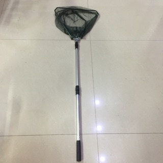 Vợt vớt cá