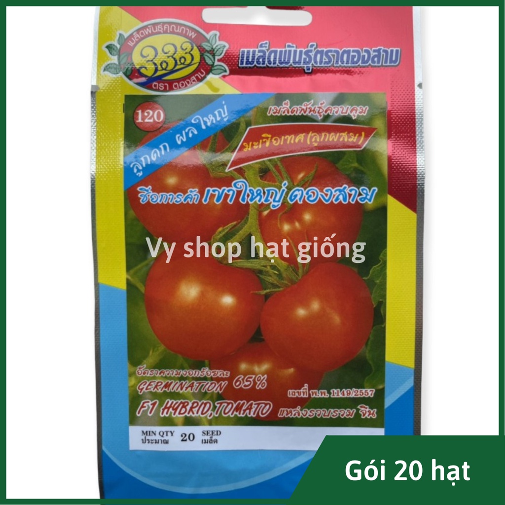 Hạt giống cà chua quả to Thái Lan gói 20 hạt