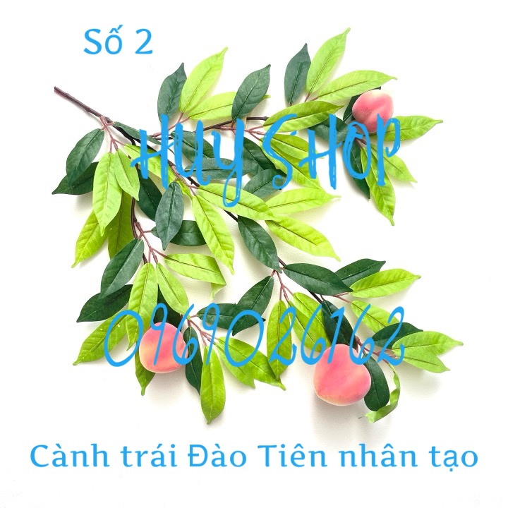 Cành Trái Mãng Cầu Ta - XOÀI - KHẾ - Đào Tiên - Vú Sữa nhân tạo trang trí nhà cửa