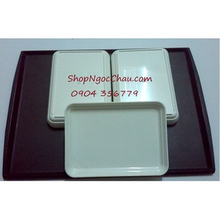 Set 10 đĩa nhựa màu trắng mẫu mới
