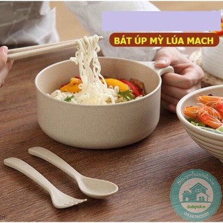 Bộ Ca Mì Lúa Mạch NX6847