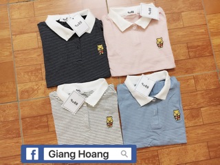 Áo phông kẻ hàng QC