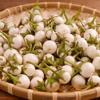 Hạt giống cà pháo trắng 1 gam - thuận điền