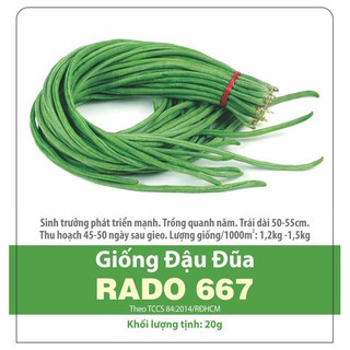 Hạt giống đậu đũa bụi ngọt f1 rado 757 năng suất gói 20g