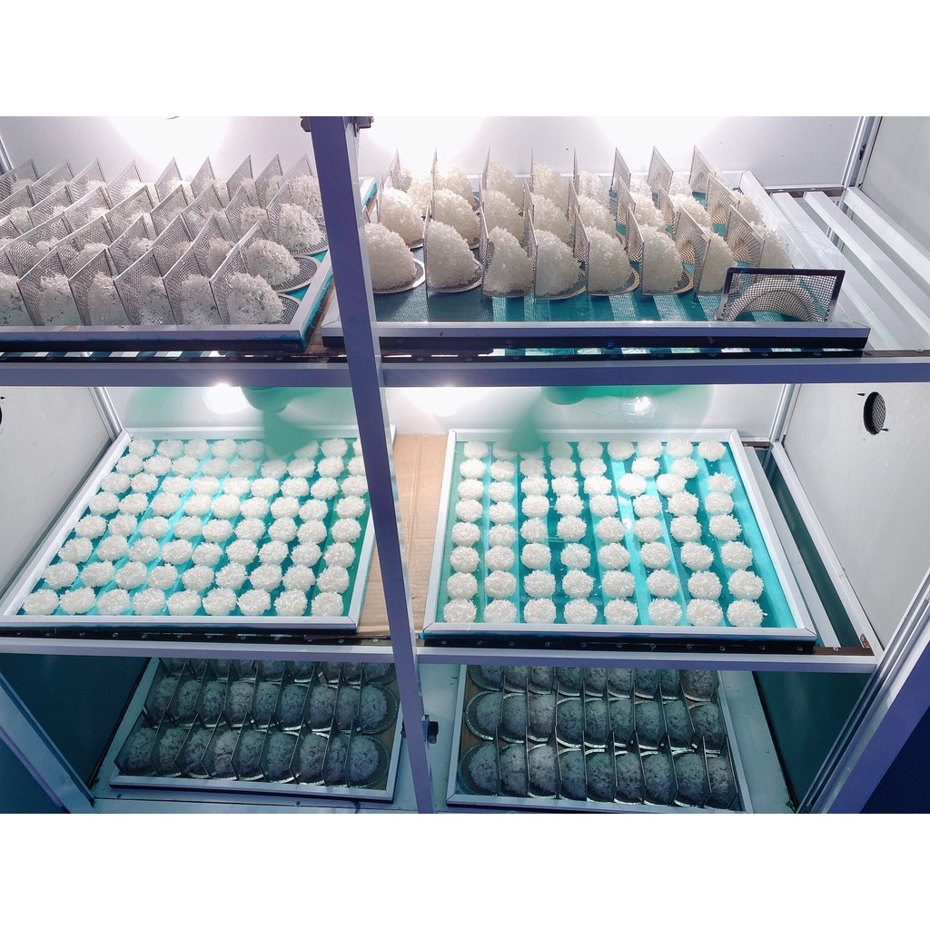 (HÀNG CÔNG TY) YẾN MẢNH TINH CHẾ NGUYÊN CHẤT -  YẾN SÀO VIN NEST | BigBuy360 - bigbuy360.vn