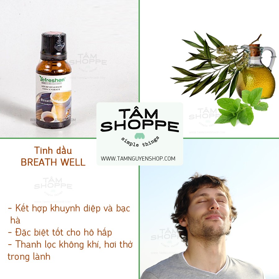 [TD THIÊN NHIÊN] Tinh dầu Breath Well 20ml Refreshen (tốt hô hấp)