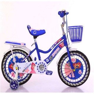 Xe đạp Centosy Hero WY01