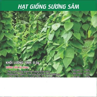 Hạt giống sương sâm 0.5gr