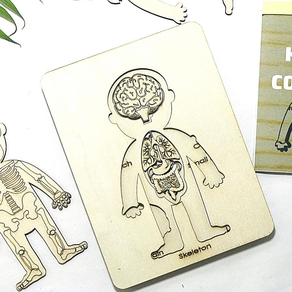 Đồ Chơi Tranh Ghép Cơ Thể Người 3D Bằng Gỗ