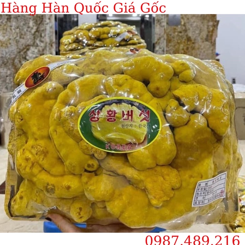 Nấm Thượng Hoàng Vàng Cao Cấp Hàn Quốc, Khay 500g