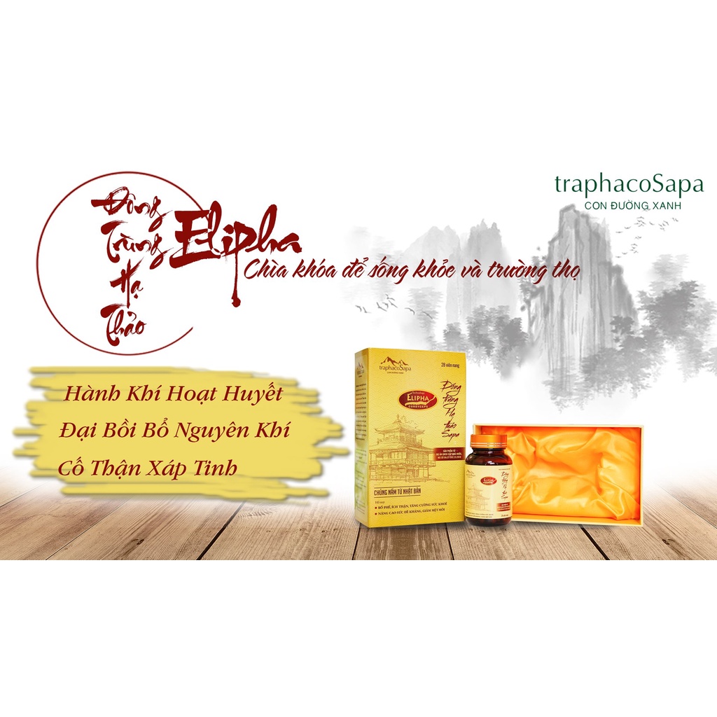 Viên nang đông trùng hạ thảo Traphaco Sapa BCA54