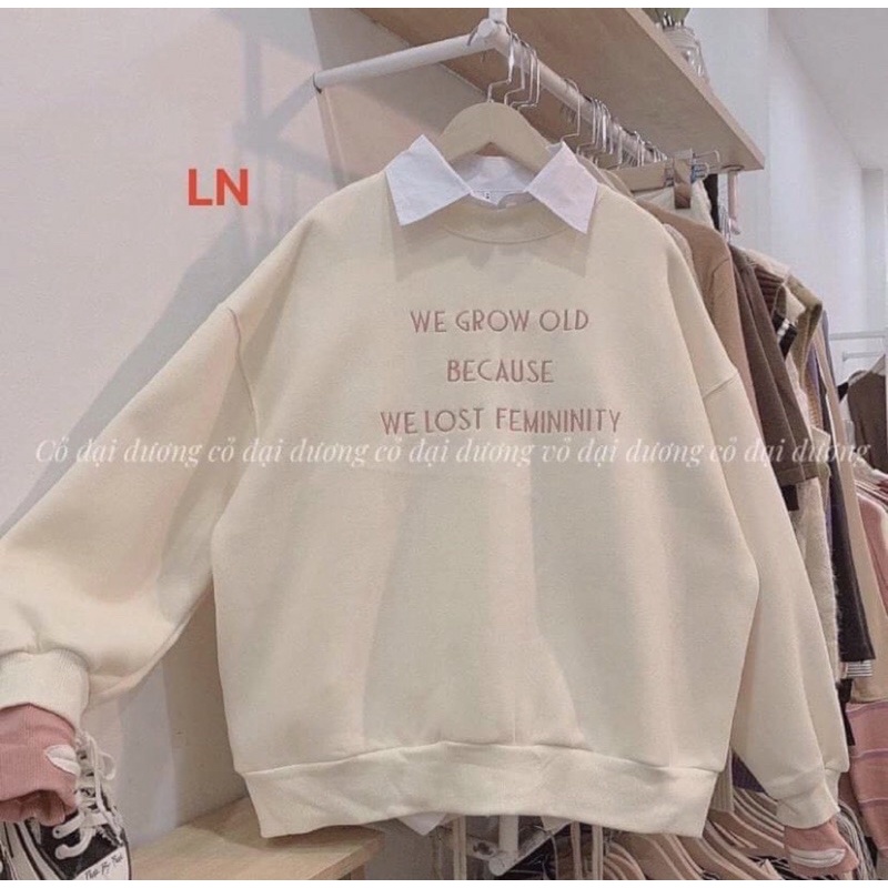 Áo Sweater in chữ We grow, áo hoodie không xù lông trẻ trung năng động