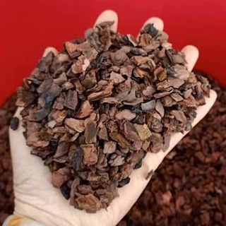 Vỏ thông size 0.5-1cm gói 1kg trồng lan, cây cảnh loại đẹp đã qua xử lý