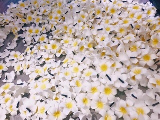 Hoa cài tóc cực xinh