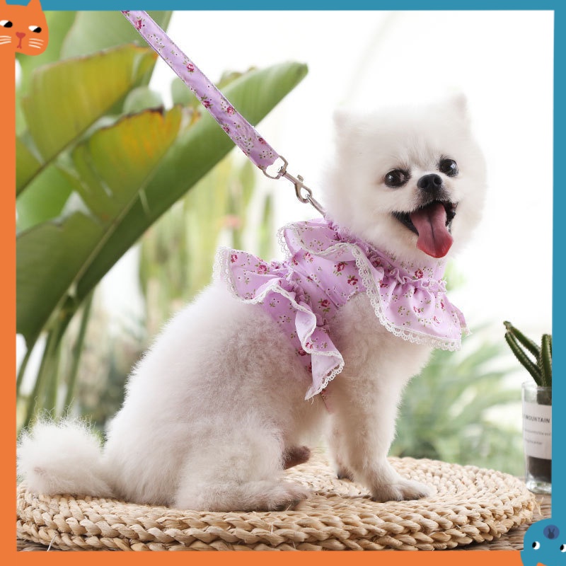 Dây Dắt Thú Cưng Đi Dạo Họa Tiết Hoa Xinh Xắn