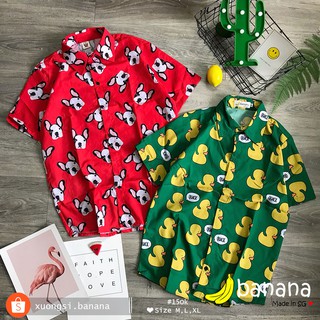 [Banana]- Áo sơ mi hoạt hình chó/ vịt vàng (M,L,XL)