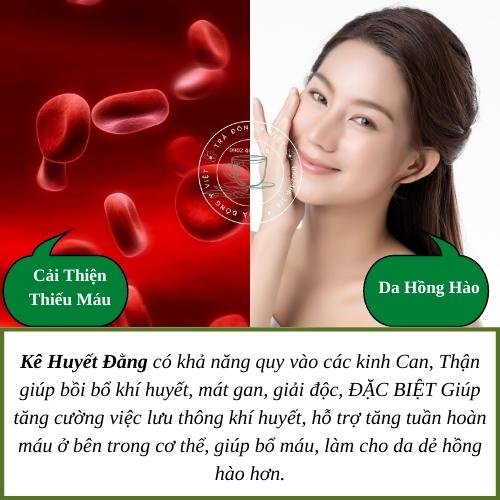 Trà Bổ Máu KÊ HUYẾT ĐẰNG - 40 Túi Lọc - Trà Đông Y Việt