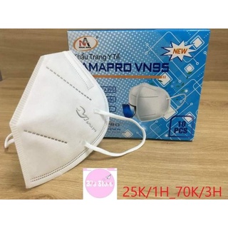Khẩu trang FAMAPRO VN95
