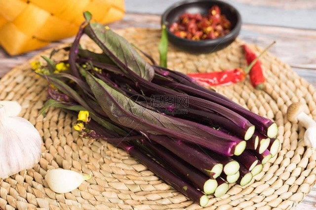 Hạt giống cài ngồng đỏ sanzi