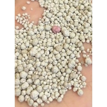 Cát Vệ Sinh Cho Mèo - CÁT NHẬT MIN Khử Mùi, Vón Cục 8L