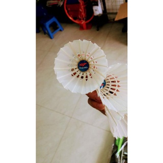 ống cầu lông vinawin
