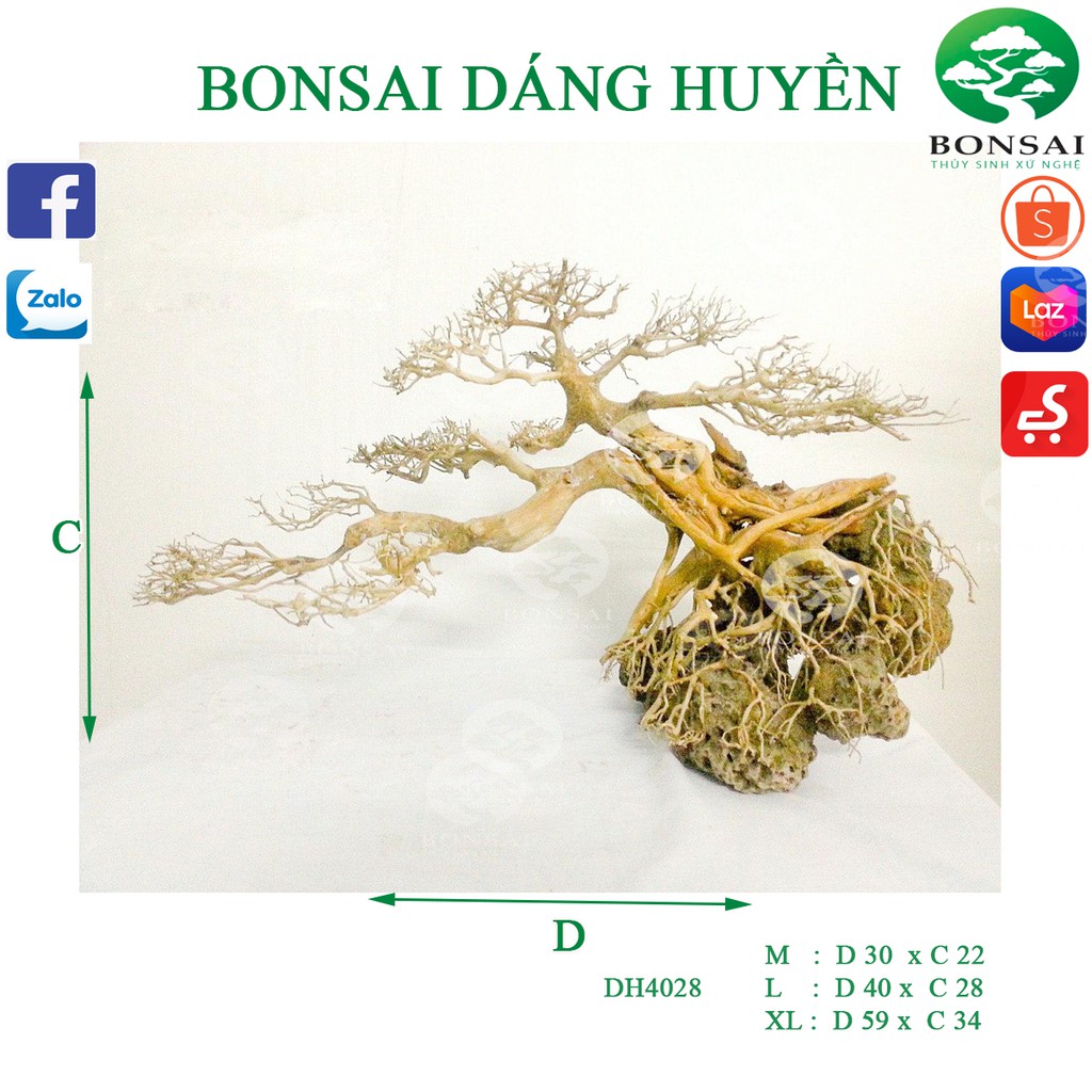 Cây Bonsai Thủy Sinh Dáng Huyển DH4028