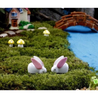 Thỏ Tai Dài Mini - Phụ kiện trang trí tiểu cảnh sen đá terrarium