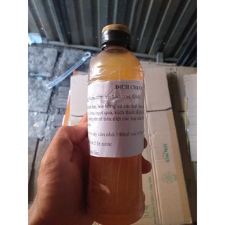 dịch chuối