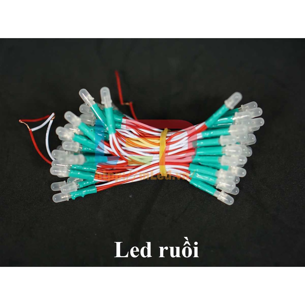 Led liền dây 100 bóng điện áp 5V và 12V, Led ruồi đơn sắc