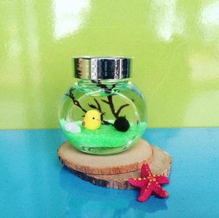 Set Tiny Tảo Cầu Nhật Bản - Marimo