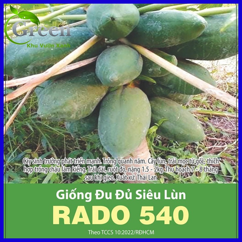 Hạt Giống Đu Đủ Siêu Lùn Thái Lan