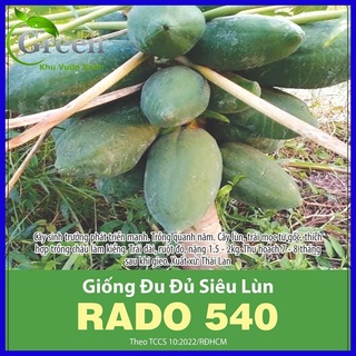 Hạt giống đu đủ siêu lùn thái lan