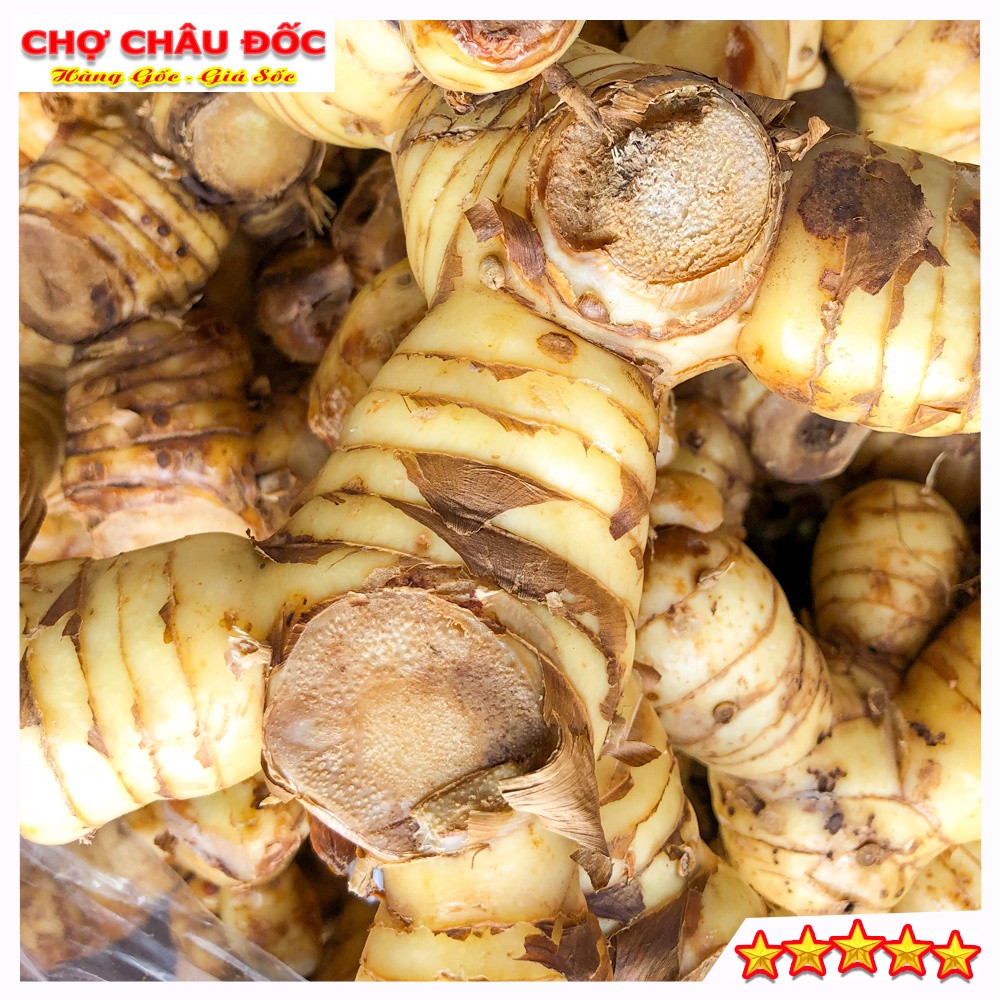500gr Củ Riềng Tươi Vùng Thất Sơn Dùng Làm Gia Vị Và Dược Liệu