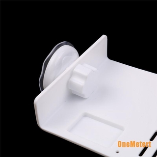 Bệ Phơi Nắng Cho Rùa Bò Sát