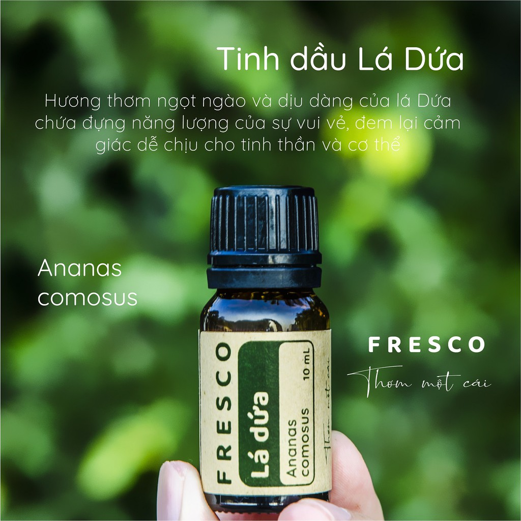 TINH DẦU LÁ DỨA 🌿𝐅𝐑𝐄𝐄𝐒𝐇𝐈𝐏🌿 CÓ KIỂM NGHIỆM CHẤT LƯỢNG (COA) - TINH DẦU THƠM PHÒNG THIÊN NHIÊN -ĐUỔI MUỖI-FRESCO