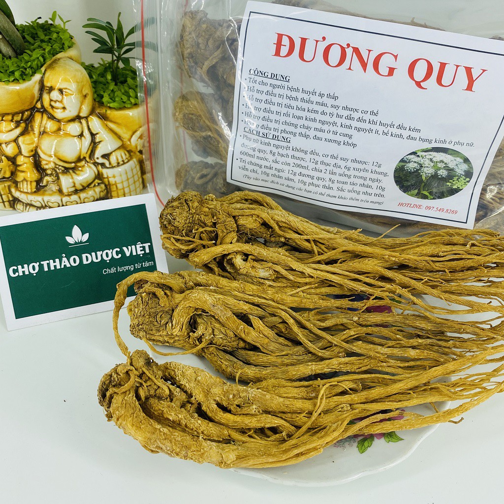 100g Sâm Đương Quy Đẹp