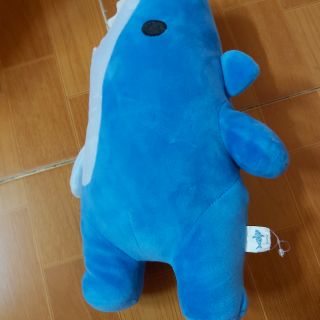 Gấu bông đẹp sạch rẻ